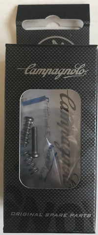 Campagnolo 12 Speed Front Derailleur Limit Screws with springs FD-SR122