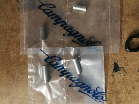 Campagnolo recessed brake caliper bolt